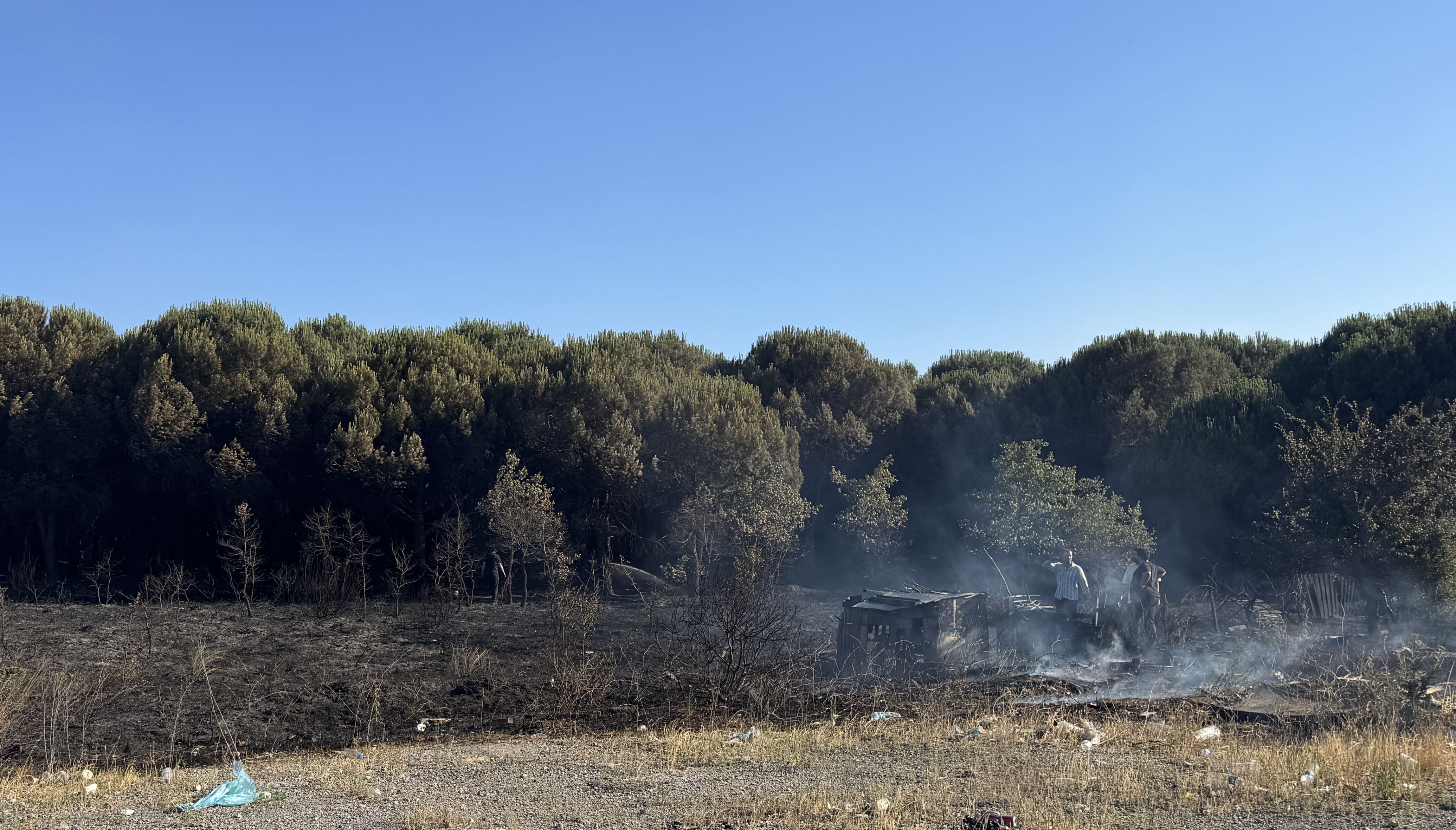 İstanbul'da felaketin eşiğinden dönüldü! Alevler kısa sürede büyüdü, ormanlık alan yanmaktan son anda kurtuldu - 2. Resim