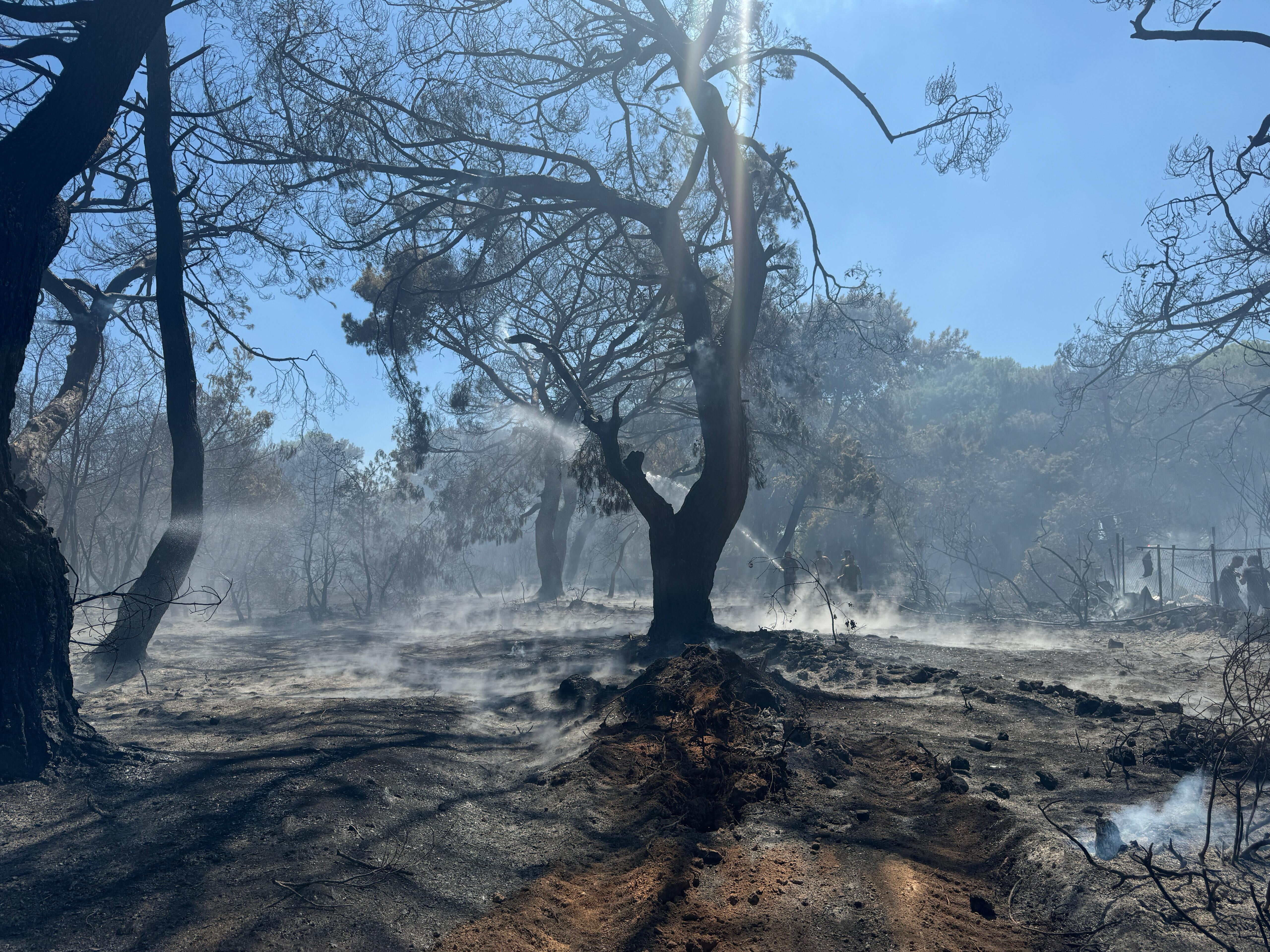 Yangın kabusu bu kez Antalya'da! - 1. Resim