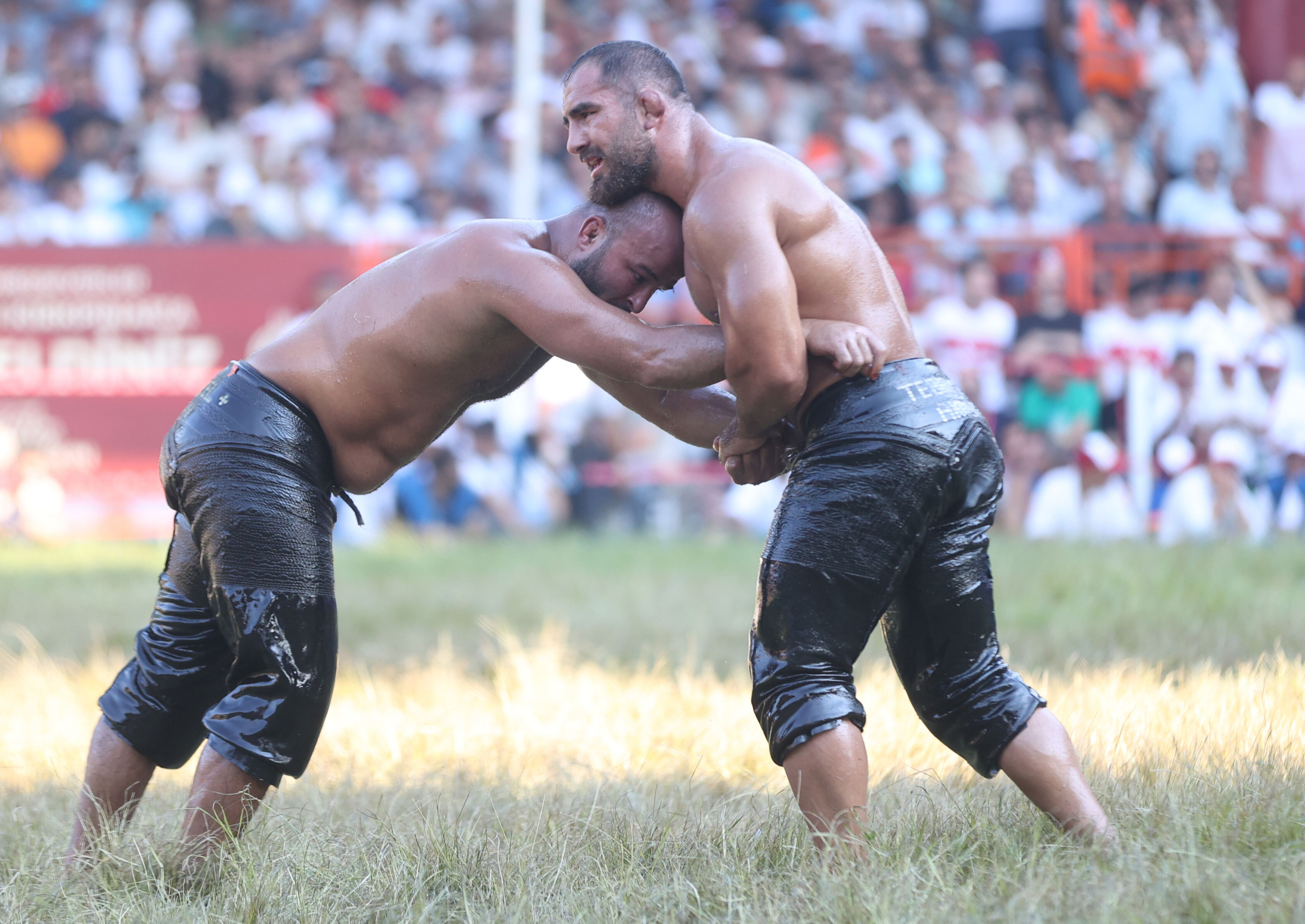 664. Kırkpınar Yağlı G&uuml;reşleri'nde başpehlivan Orhan Okulu oldu! - 3. Resim