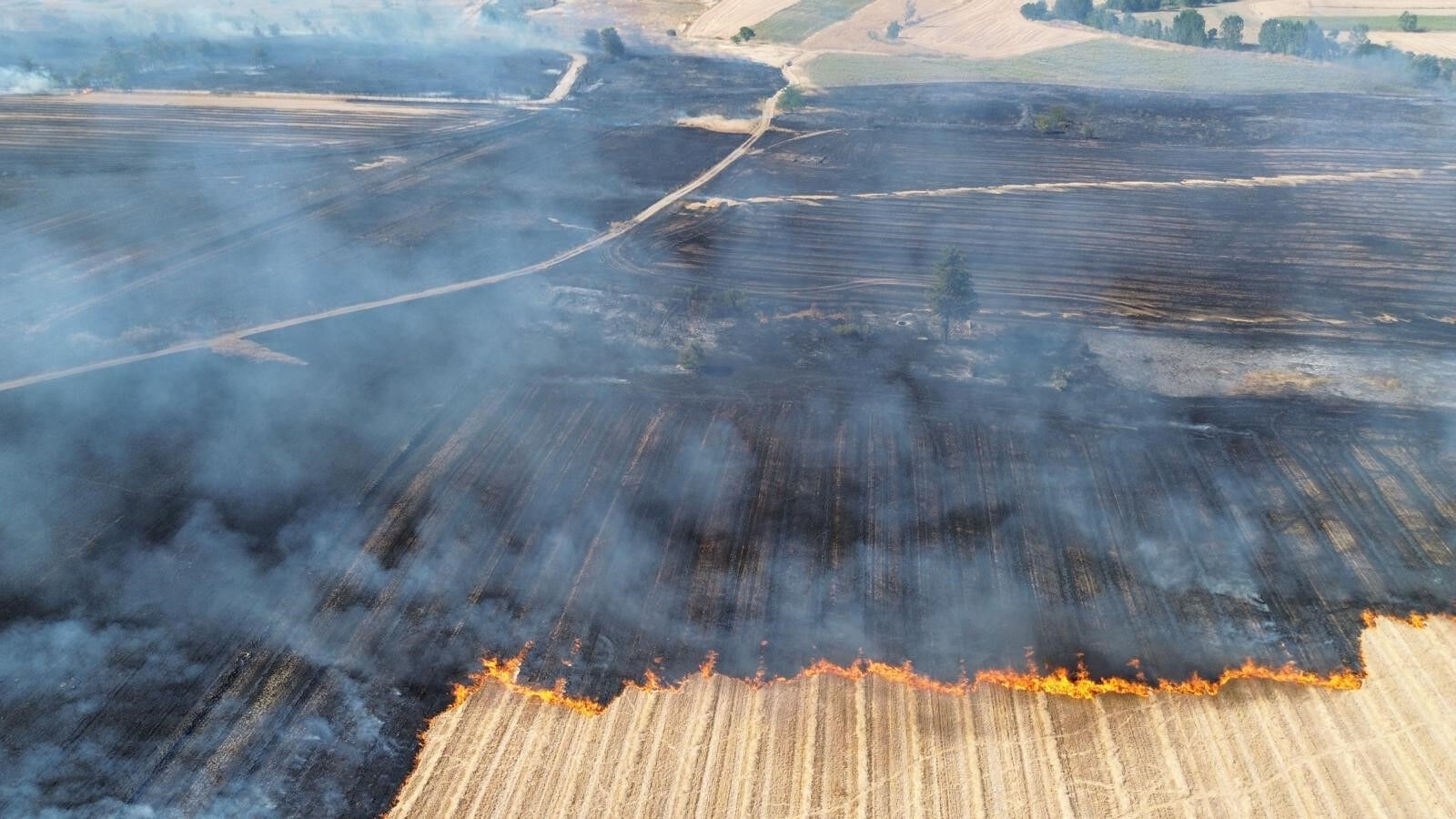 Alevler askeri bölgeye sıçradı! Babaeski'de tarım arazisinde korkutan yangın - 2. Resim
