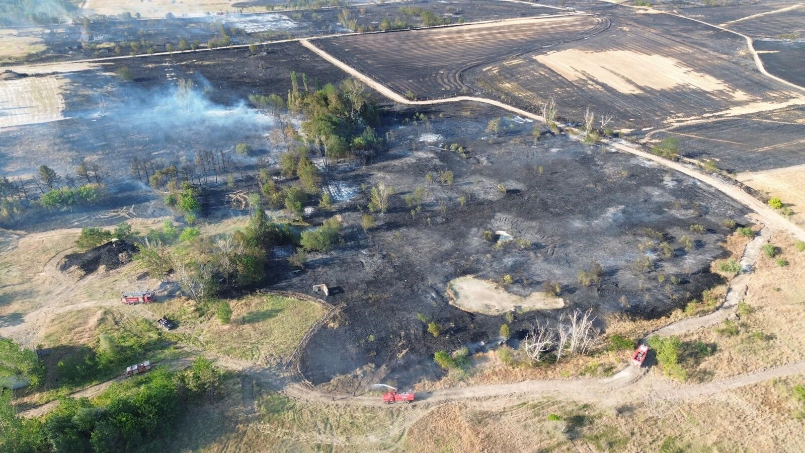 Alevler askeri bölgeye sıçradı! Babaeski'de tarım arazisinde korkutan yangın - 1. Resim