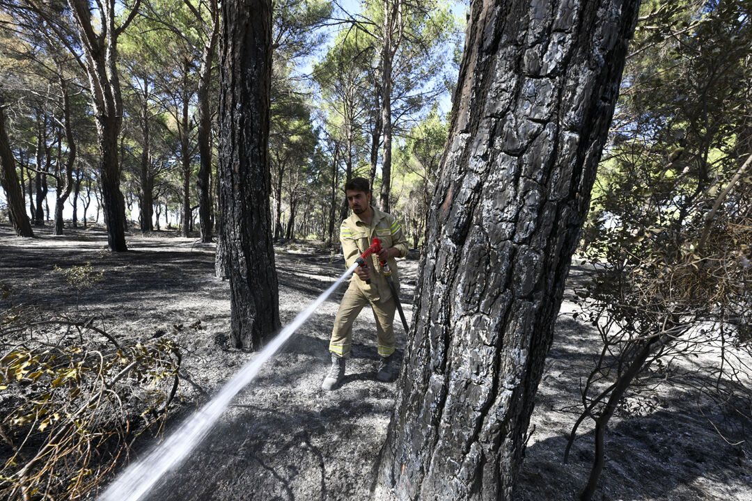 Alevlere direnen kahramanlar! Yastıkları toprak, sofraları küller üstünde - 2. Resim