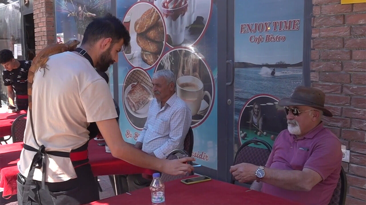 Beşiktaşlı iguana &Ouml;kkeş, Yozgat&rsquo;ta fenomen oldu! - 3. Resim