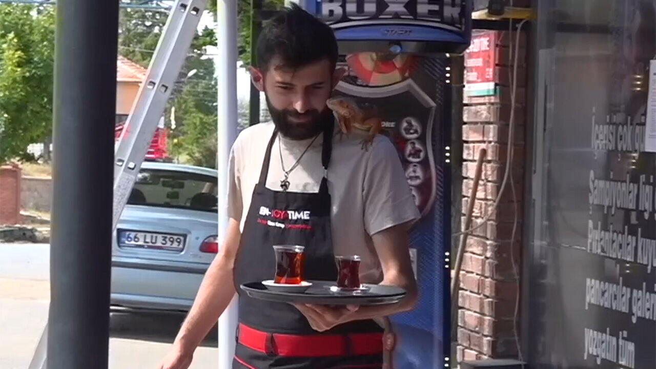 Beşiktaşlı iguana &Ouml;kkeş, Yozgat&rsquo;ta fenomen oldu! - 1. Resim