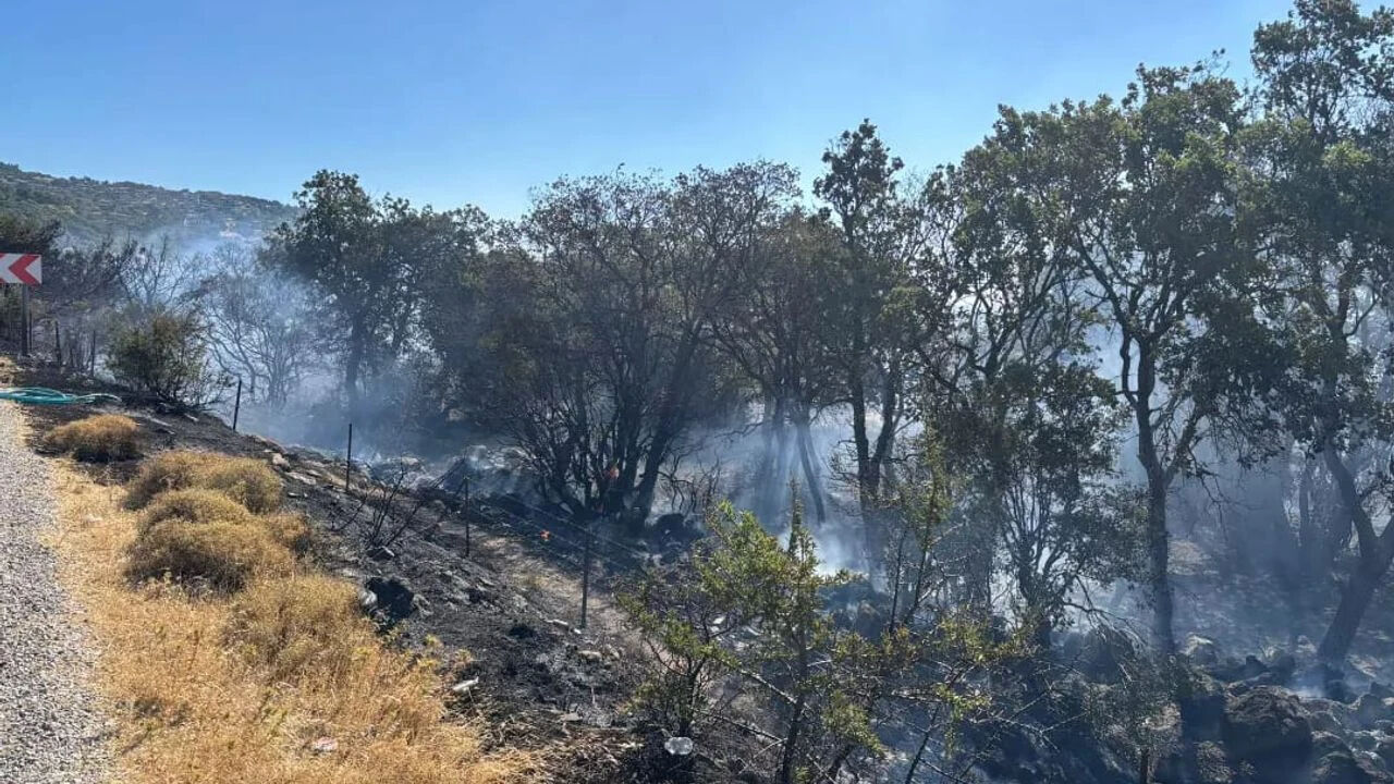 Çanakkale yangın son dakika: Yangın söndürüldü mü, çıkış nedeni nedir? - 2. Resim