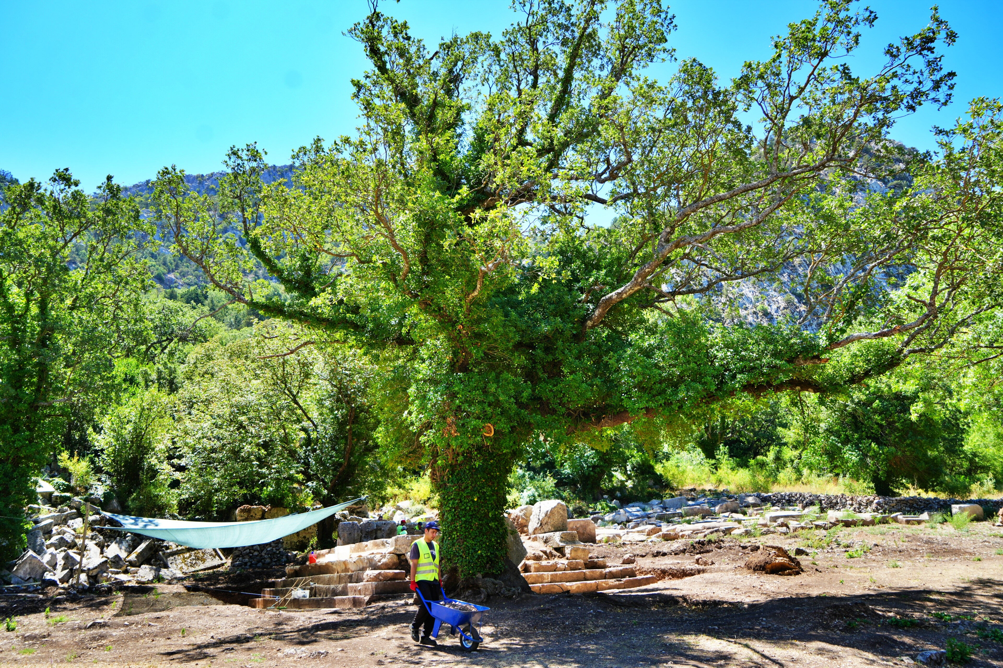 Gören bir daha baktı, yüzlerce kiloluk lahit parçasını böyle kaldırmış! Doğa tarihe sahip çıktı - 2. Resim