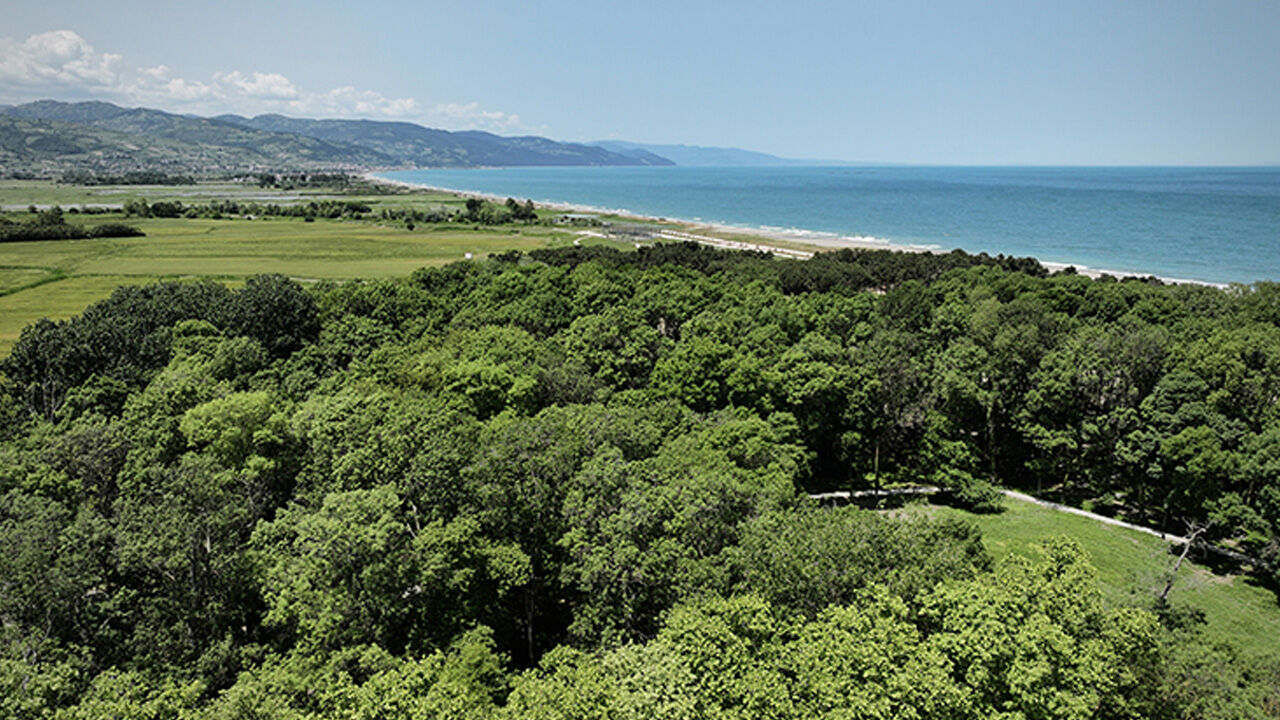 Türkiye'de ama çoğu kişi bilmiyor! İki şehir arasında gizli kalmış sahil hazinesi: 18 km kumsal ve çam ormanları... - 2. Resim