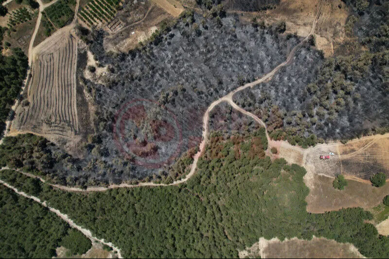 Alevlerin içinden Türk uçakları çıktı! Türkiye'den Suriye'ye yangınlarla mücadelede 'can eli' - 2. Resim