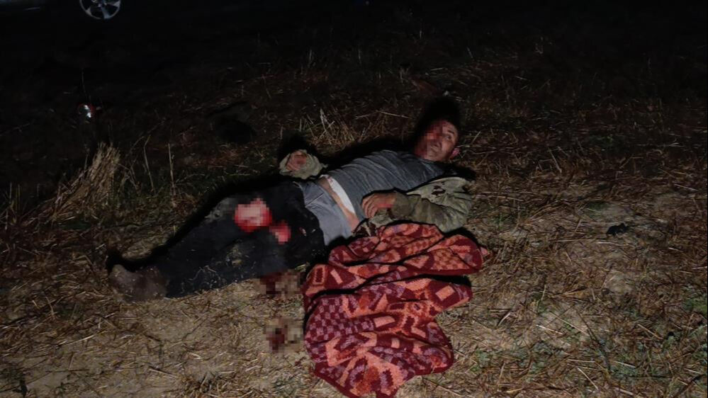 Aslan kafesinden kaçmıştı! Türkiye'nin konuştuğu hayvanat bahçesiyle ilgili yeni gelişme - 2. Resim