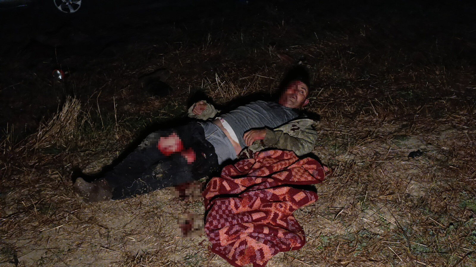 Aslana infaz! Ormanların kralı kaçtı, bir kişiyi yaraladı - 2. Resim