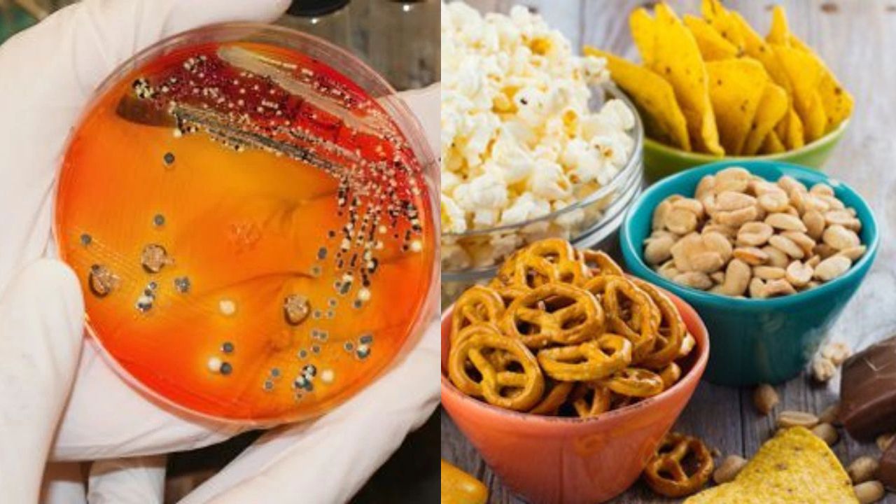 Avrupa’da salmonella alarmı! Yumurta ve atıştırmalıklar geri çağırılıyor! Avrupa’da salmonella alarmı! Yumurta ve atıştırmalıklar geri çağırılıyor!