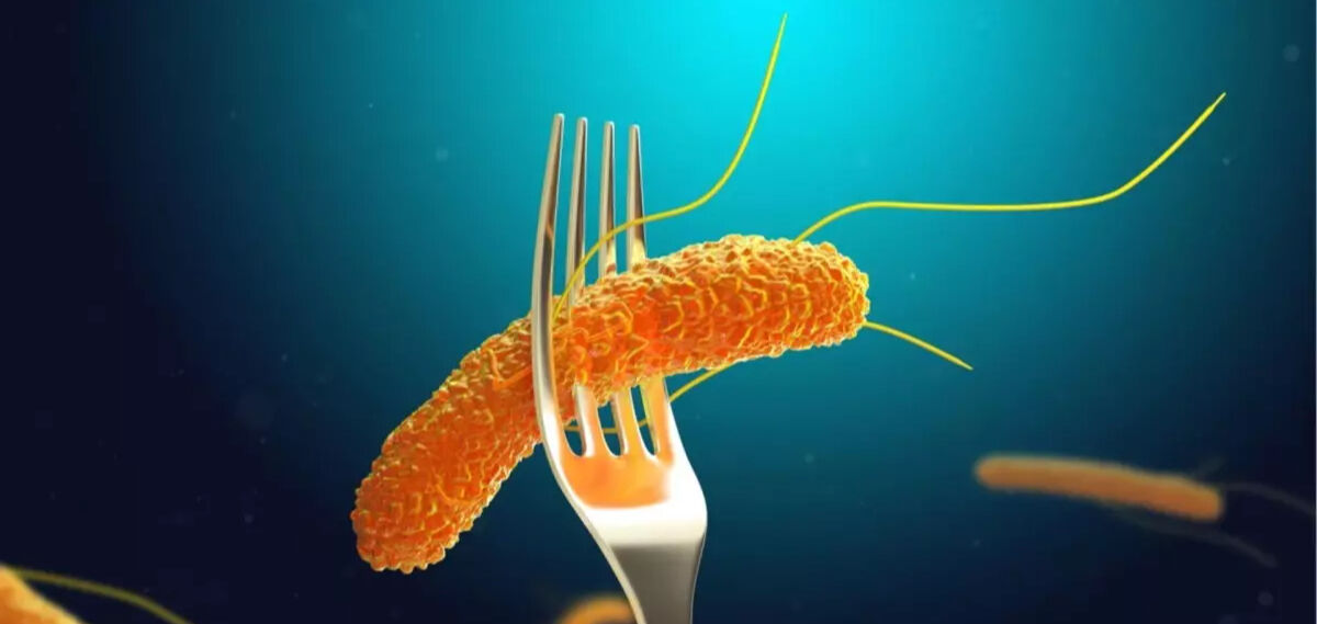 Avrupa’da salmonella alarmı! Yumurtalar ve atıştırmalıklar geri çağırılıyor! - 1. Resim