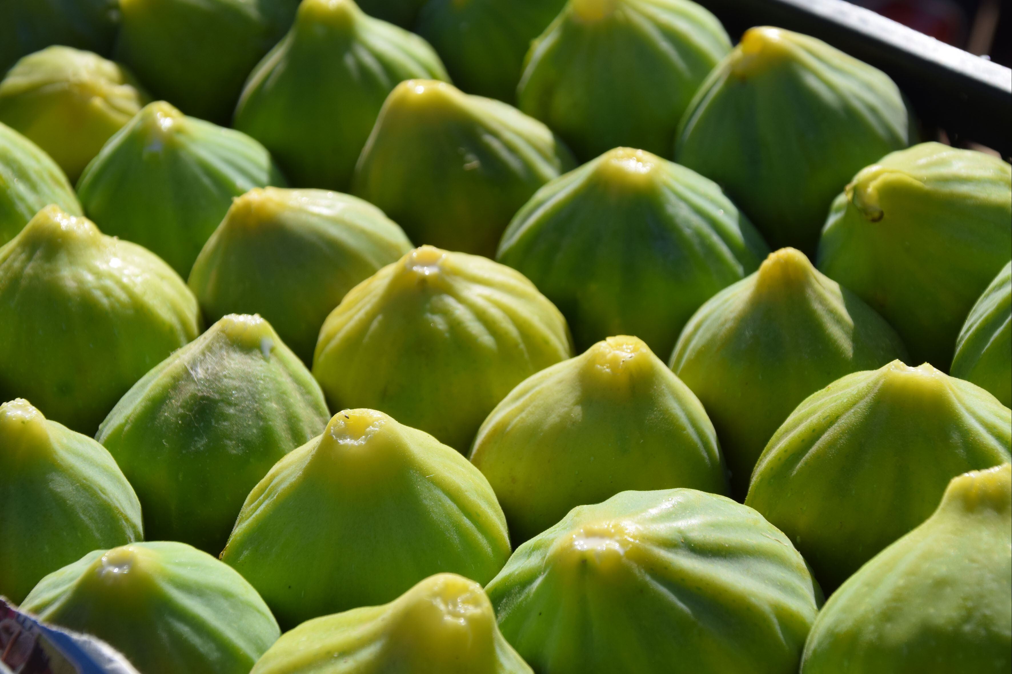 Bir ağaçtan yılda 7 defa meyve alınıyor! Türkiye ve dünyadan sipariş yağıyor - 4. Resim