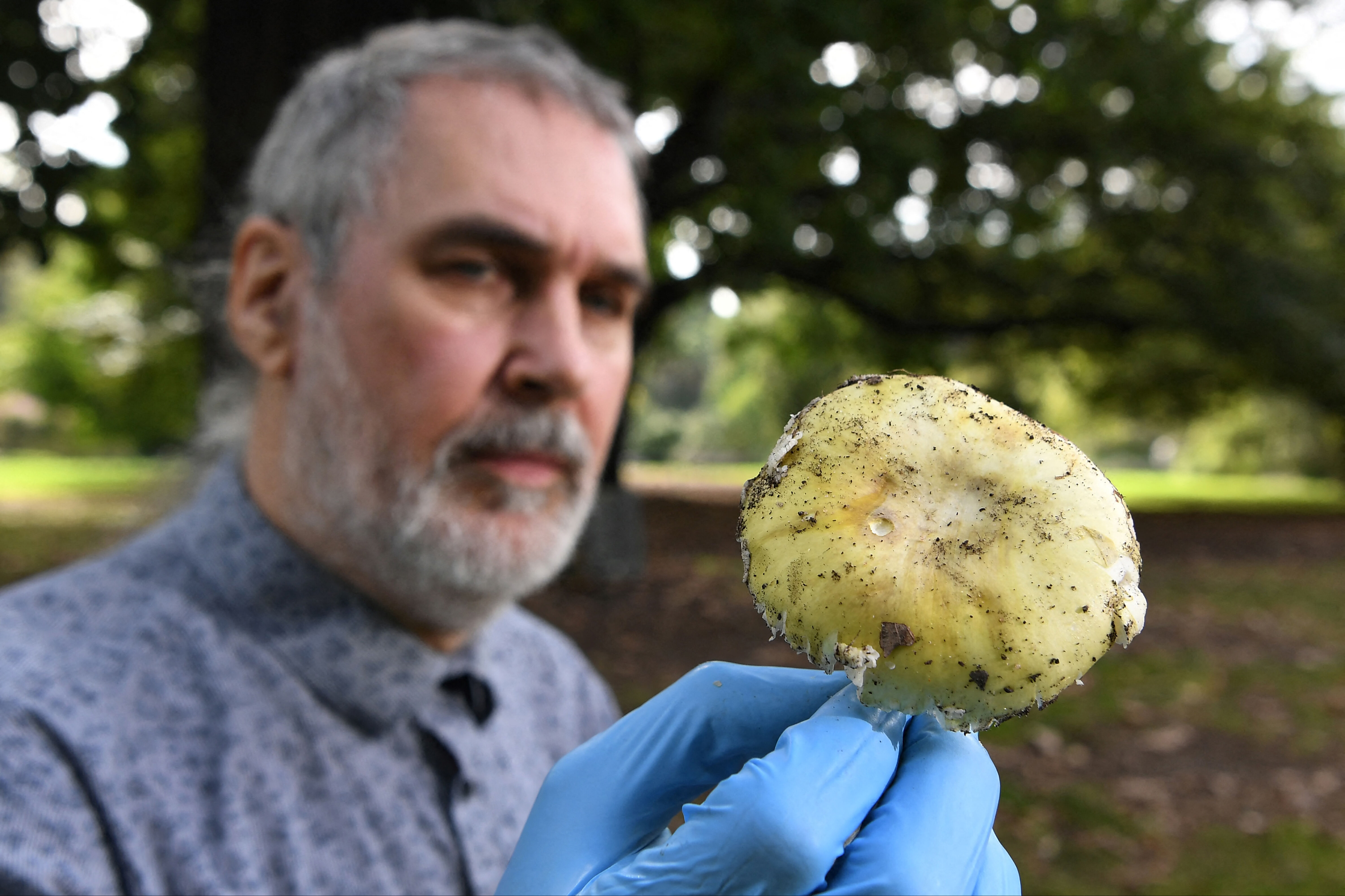 Bir ülkeyi sarsan olay! Zehirli mantarla akrabalarını zehirledi: Cezası belli oldu - 2. Resim