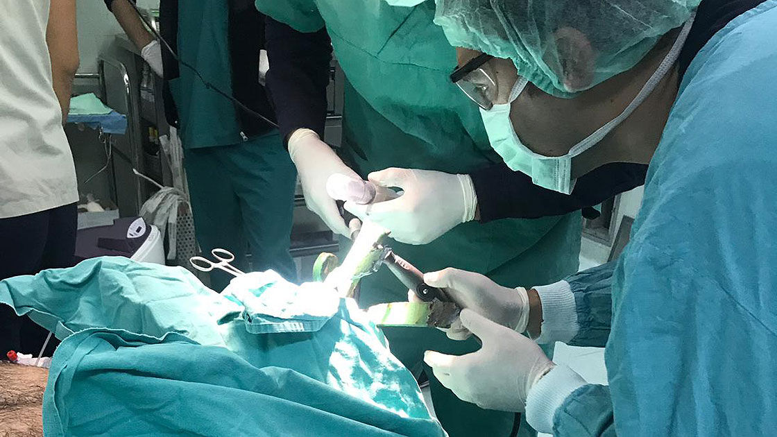 Karın ağrısı şikayetiyle başvurmuştu! Karnından çıkan doktorları hayrete düşürdü: Adeta yüzüyor - 2. Resim