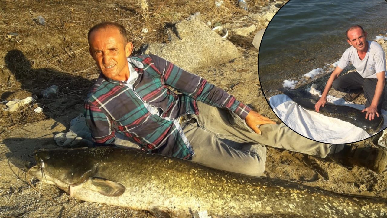 Yaşam