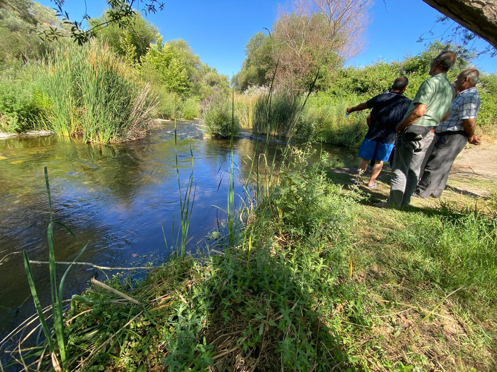 Piknik faciaya dönüştü: Şapkasını buldular, kendisi yok! - 2. Resim