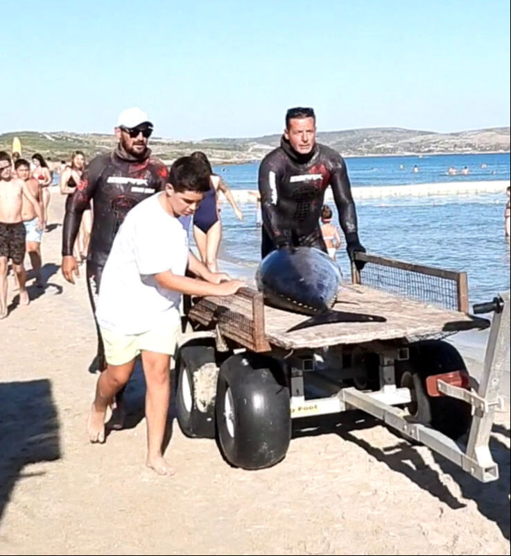 Ünlü oyuncu Nihat Altınkaya dev balığı böyle yakaladı! Ağırlığına inanamayacaksınız - 2. Resim