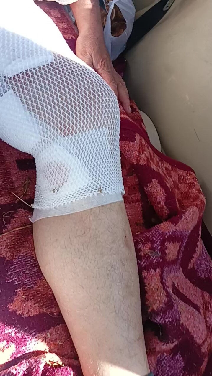 Ünlü profesör espriyi patlattı! Aslan saldırısına uğrayan çiftçiye: Tam bir Kara Murat - 1. Resim