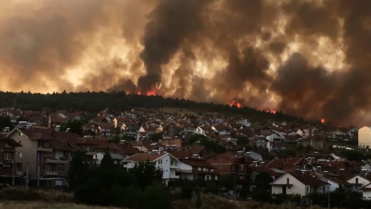 Dünya