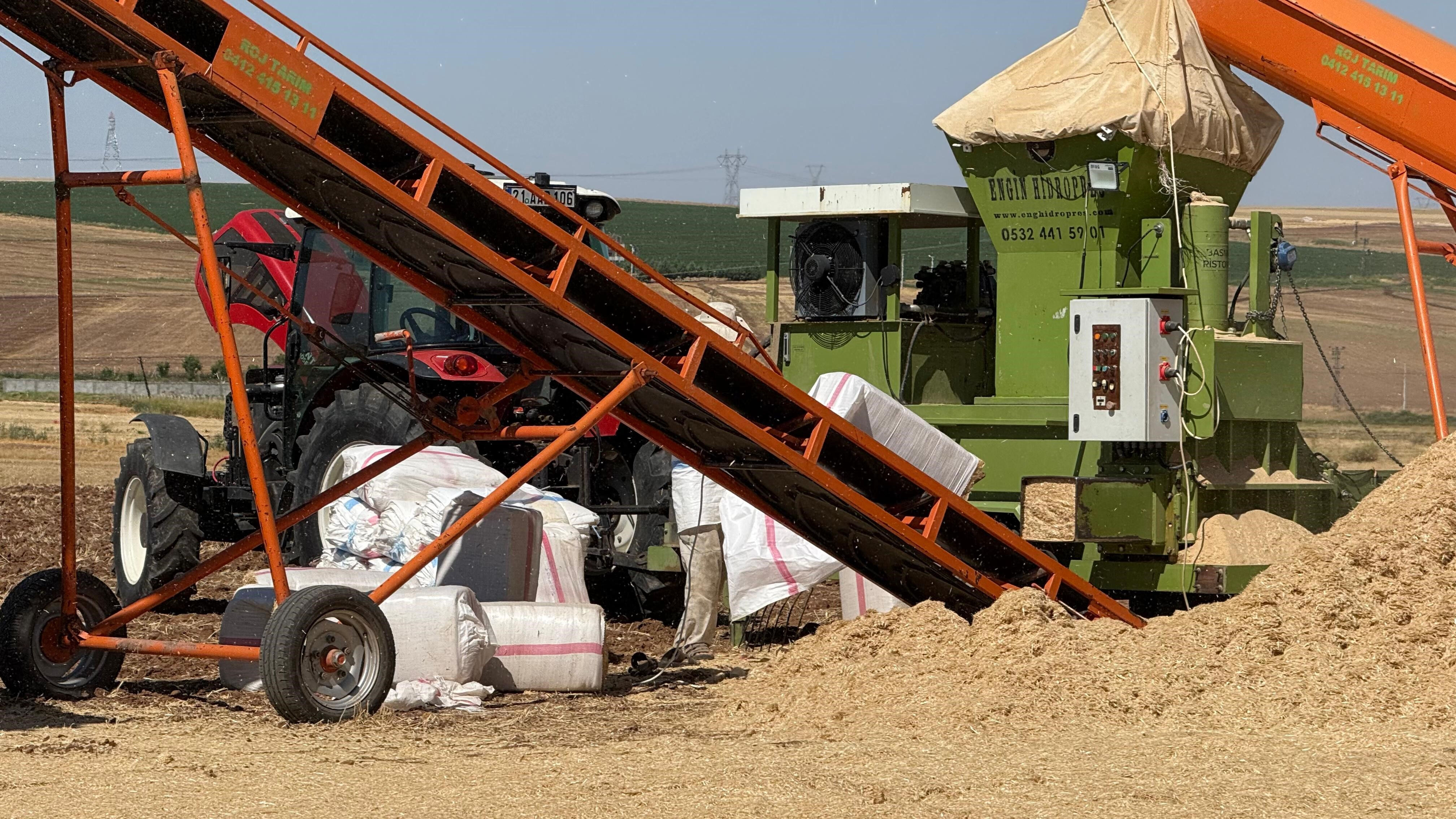 40 derece sıcaklığı 45 derece hissediyorlar! Tarlada en zorlu mücadele: Günde 12 saat... - 3. Resim