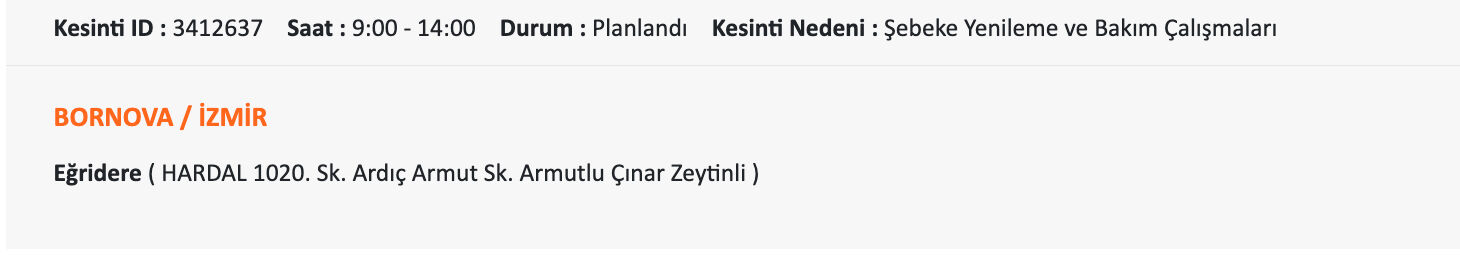 8-9 Temmuz İzmir elektrik kesintisi listesi! Aliağa, Balçova, Bayındır, Bornova, Seferhisar, Ödemiş'te elektrikler ne zaman gelecek? - 8. Resim