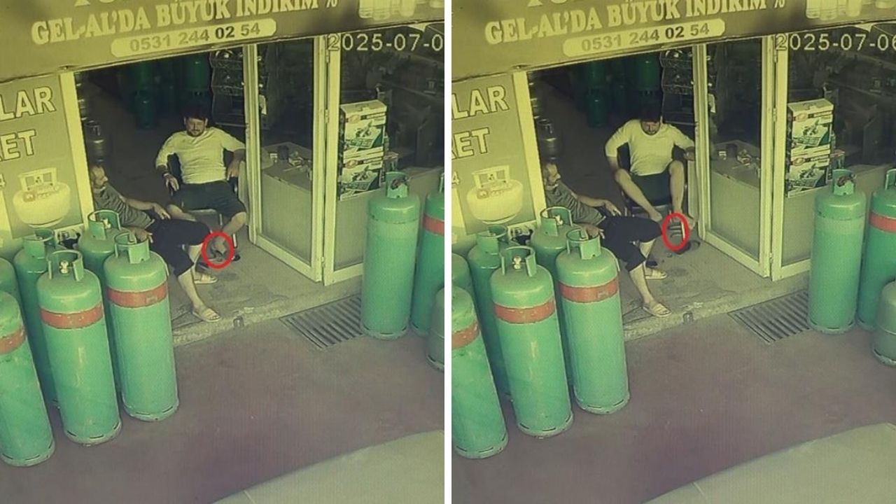 Yaşam