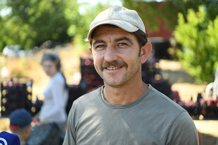 Lapseki şeftalisi Almanya, Rusya ve Orta Doğu'ya gidiyor