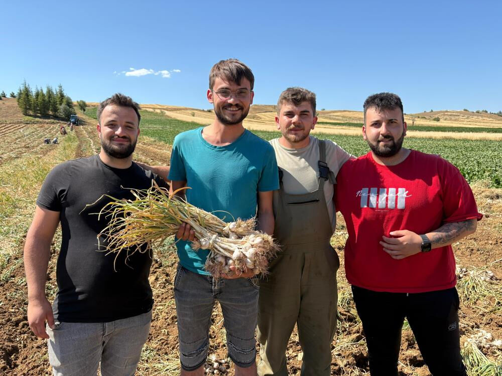 Avrupa tescillemişti! Tarlada hasat başladı... Toplayan g&uuml;nl&uuml;k 1200 TL kazanıyor - 3. Resim