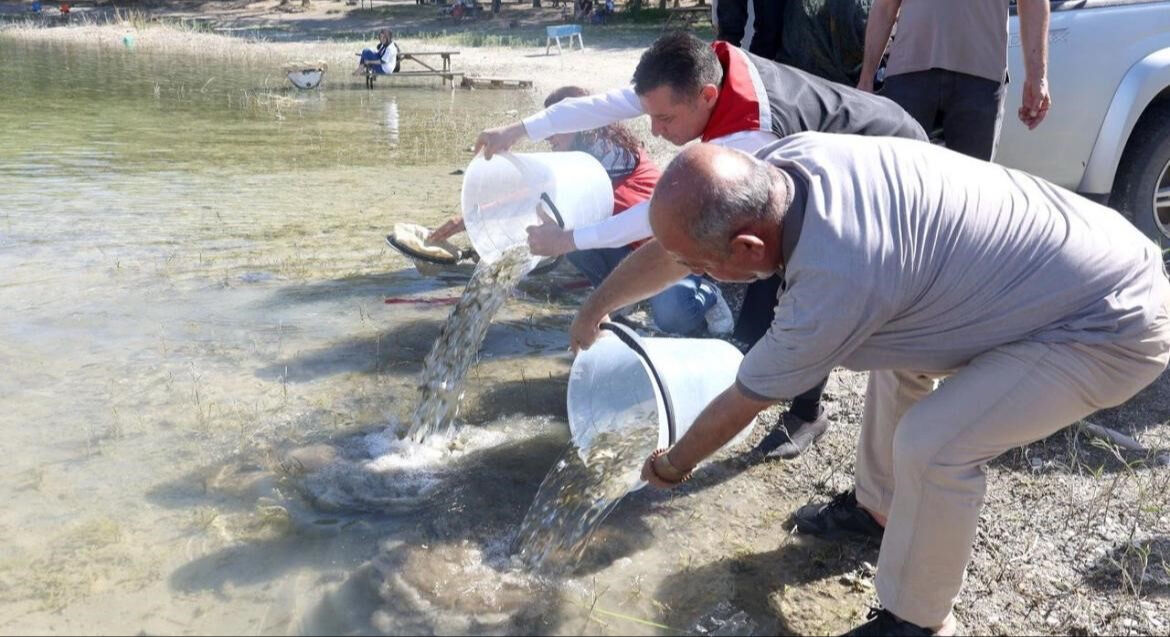 Barajlar, göller, göletler balıkla doldu! Yüz binlercesi su kaynaklarına bırakıldı - 1. Resim