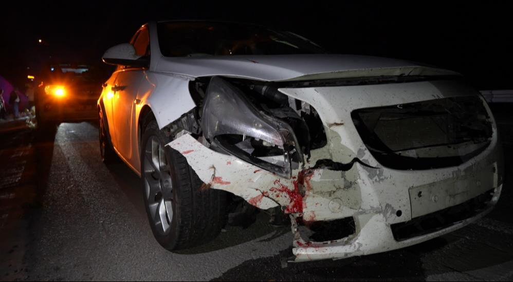 Gümüşhane'de kaza! Otomobil ayıya çarptı - 2. Resim