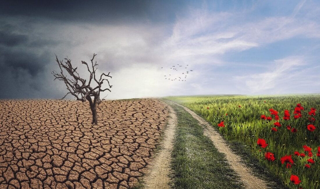 İklim Kanunu Meclis'ten geçti mi, hangi ülkeler kabul etti? Karbon ayak izi nedir? - 2. Resim