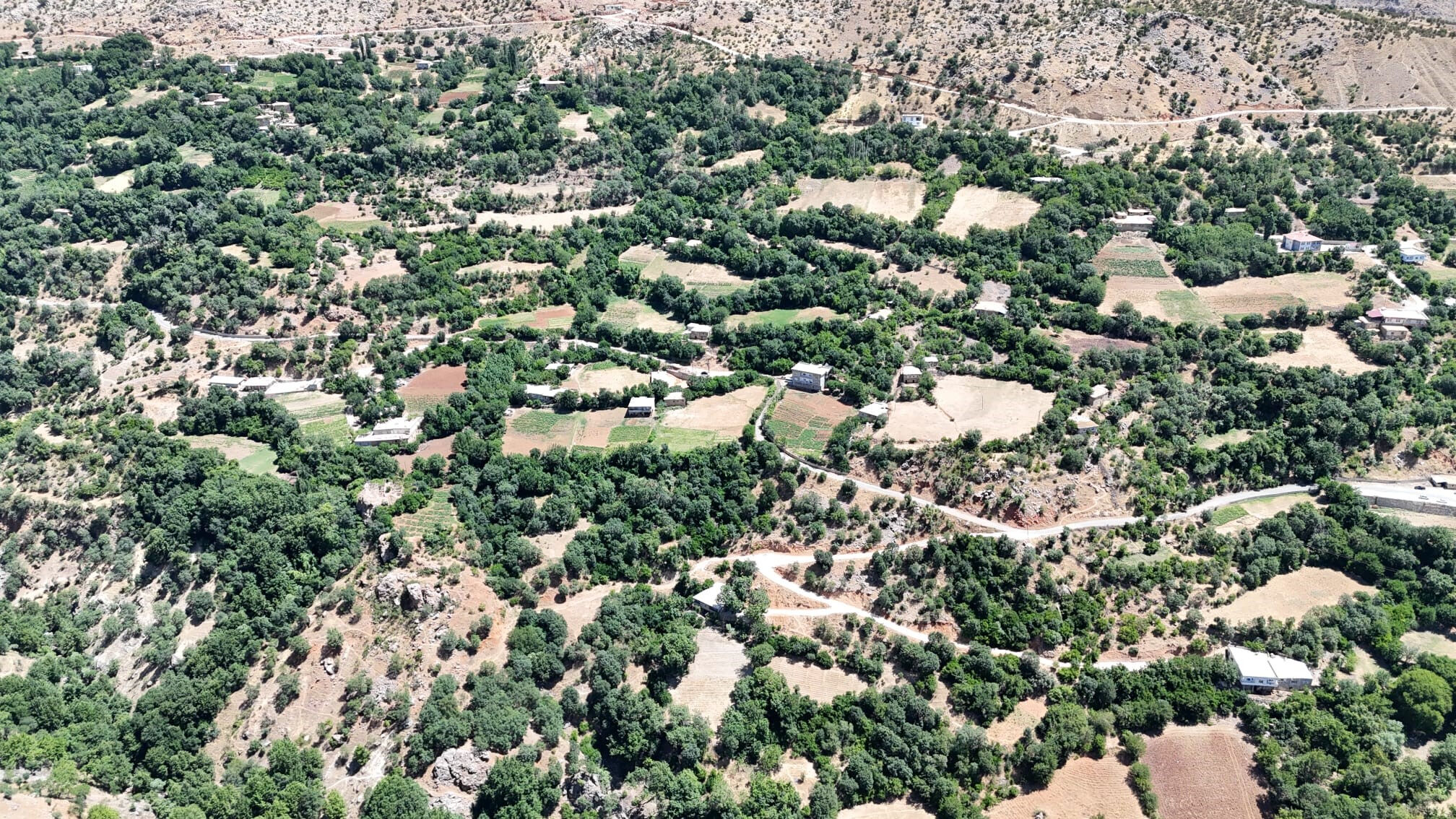 Küçükcük köyde bulunamıyor! Zihinsel engelli Fatma Uçma nerede? - 2. Resim