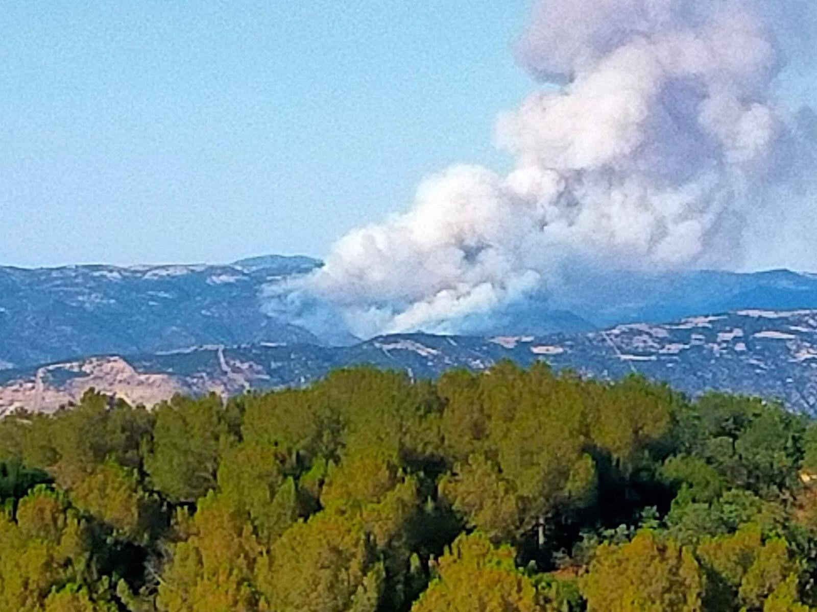 Manisa'da orman yangını! Vatandaşlar seferber oldu - 1. Resim