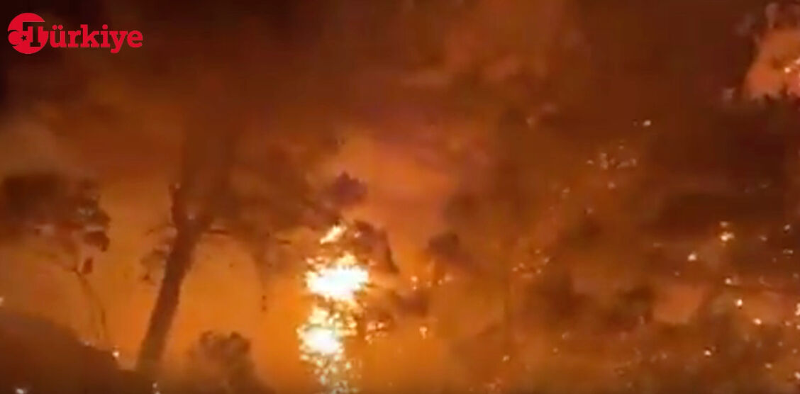 Son dakika Hatay'ın Samandağ ilçesinde orman yangın: Samandağ'daki yangın söndürüldü mü, çıkış sebebi ne? - 1. Resim