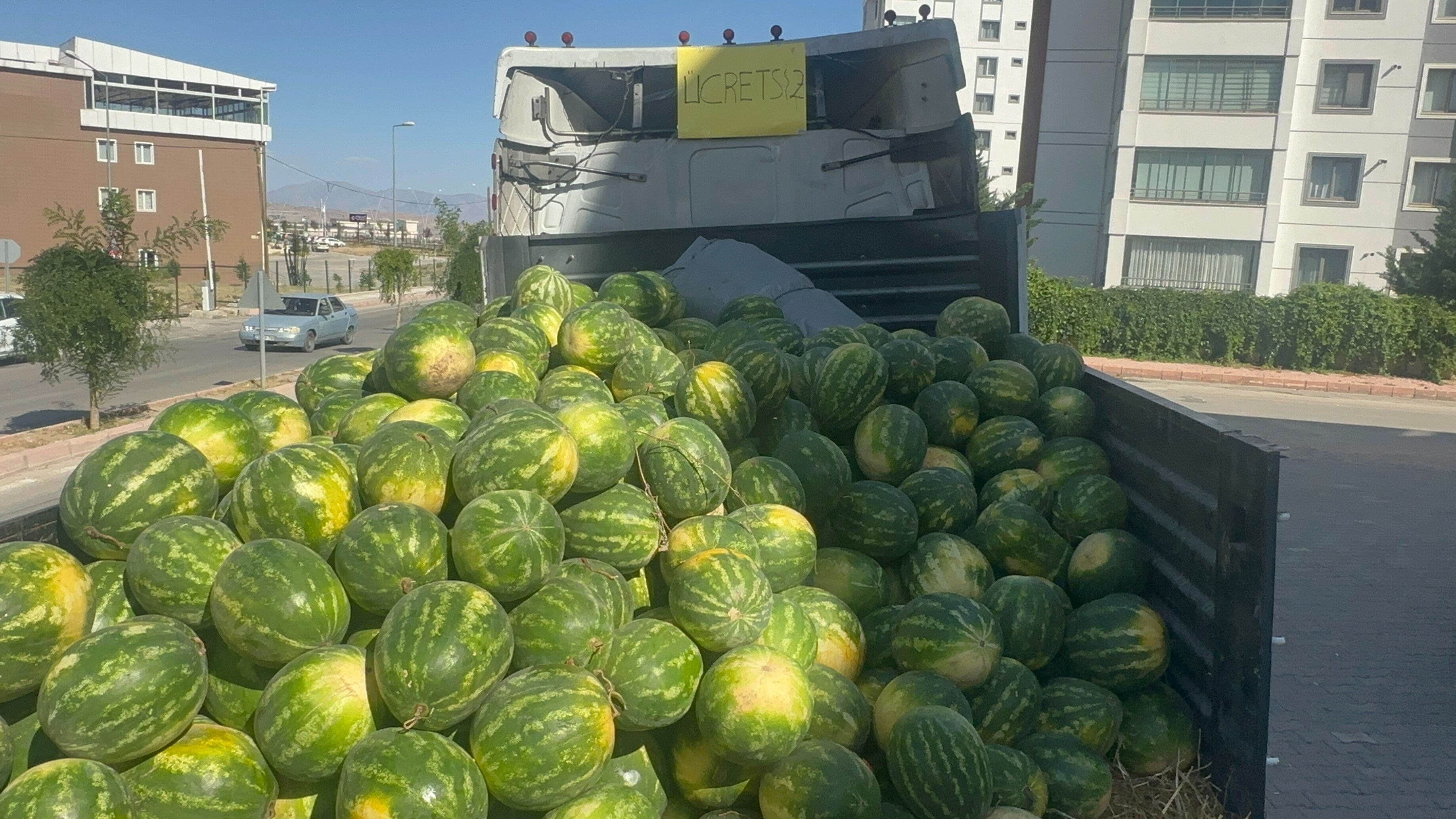 Tam 30 ton! Vatandaşlara ücretsiz dağıttı, dakikalar içinde kapış kapış gitti Tam 30 ton! Vatandaşlara ücretsiz dağıttı - 1. Resim