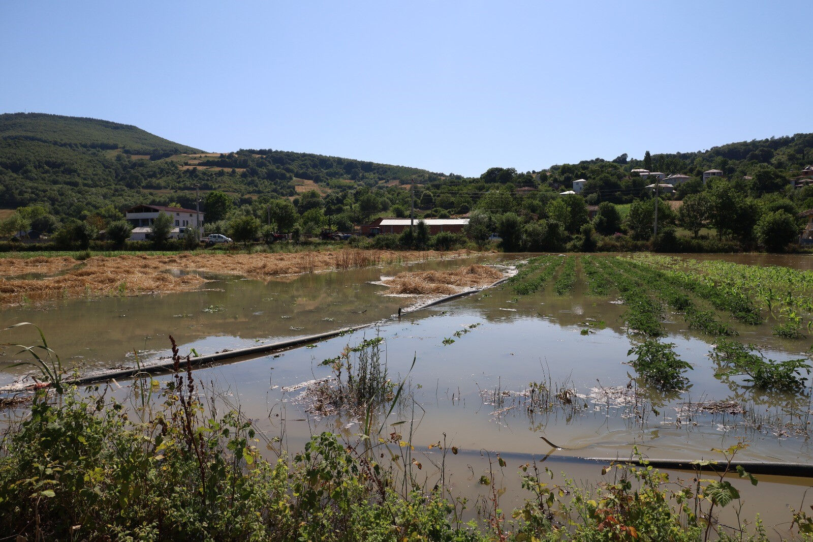 Tüm emekler yok edildi, tonlarca ürün zarar gördü! 