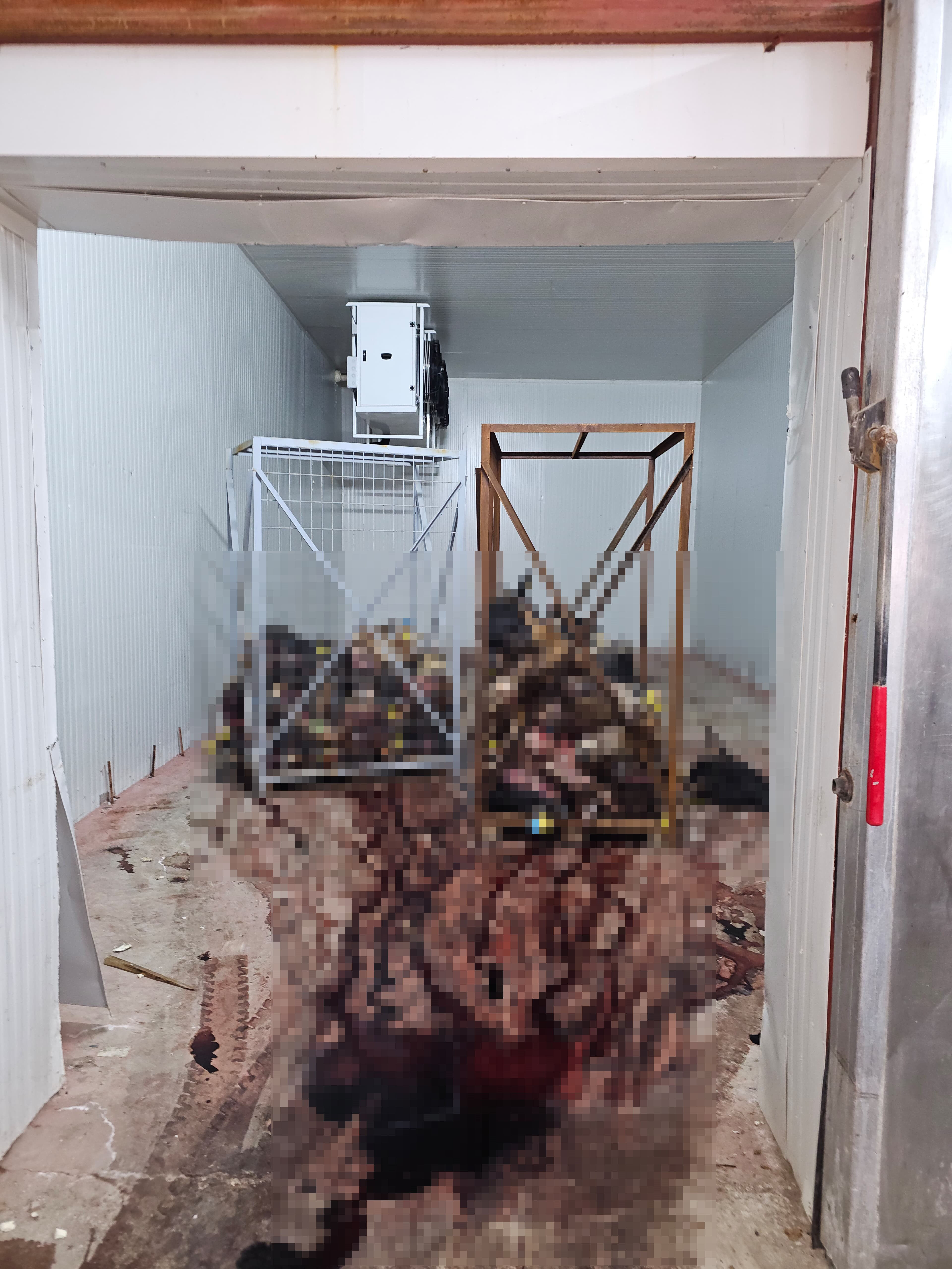 Vatandaşa bunları yedirmişler! Hayvan kafası detayı mide bulandırdı, ruhsatı dahi yok - 2. Resim