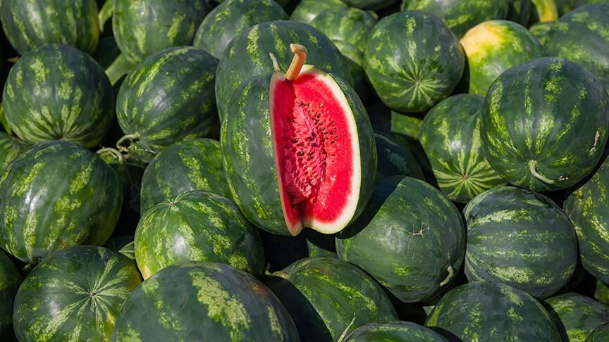 Yazın g&ouml;r&uuml;nmeyen tehlikesi: Karpuz zehirlenmesi neden olur? - 1. Resim