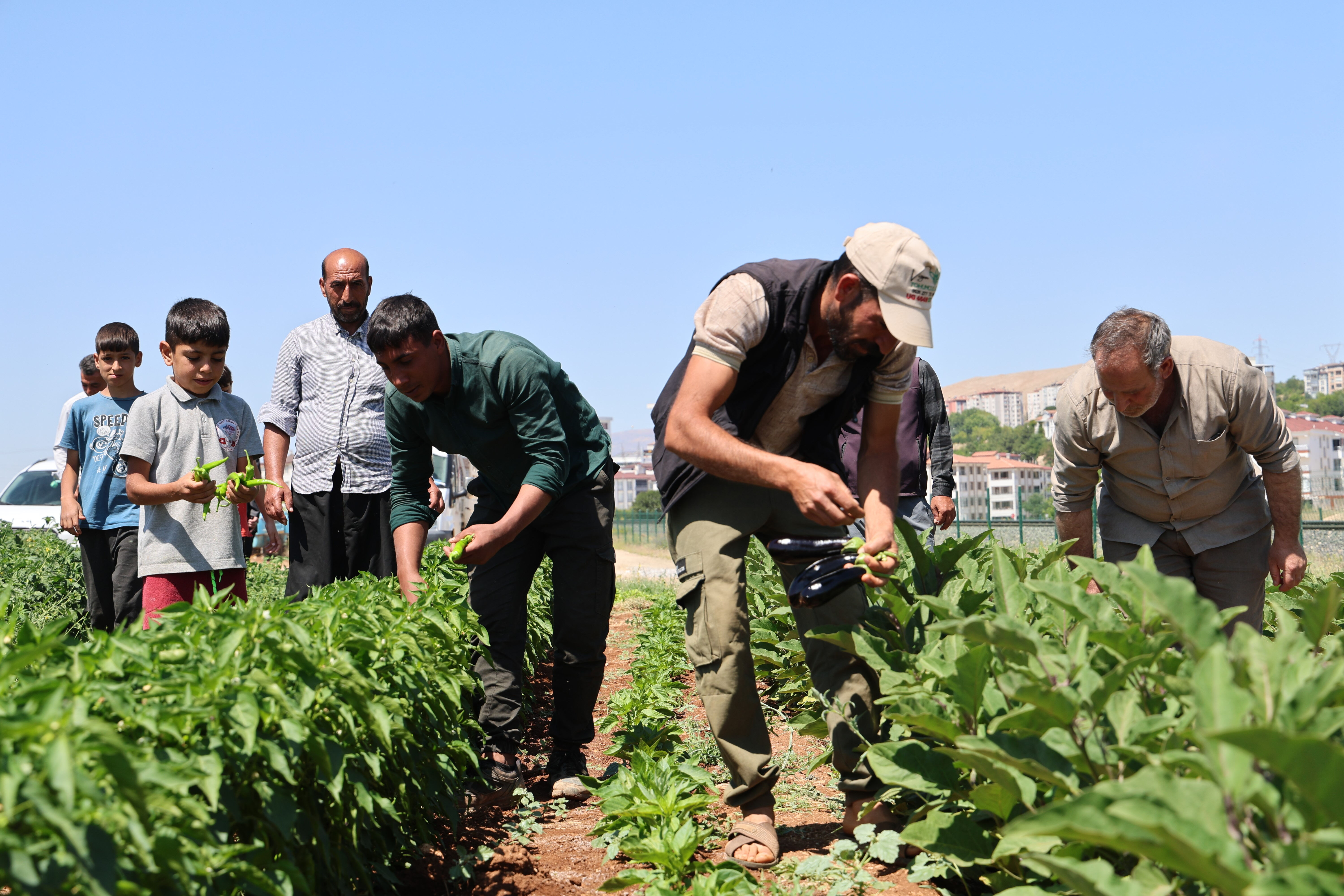 150 d&ouml;n&uuml;m alana ekildi! Bolluk kapıda, vatandaş ucuza yiyecek: Markette 50 liraysa 25'e satacağız&nbsp; - 2. Resim