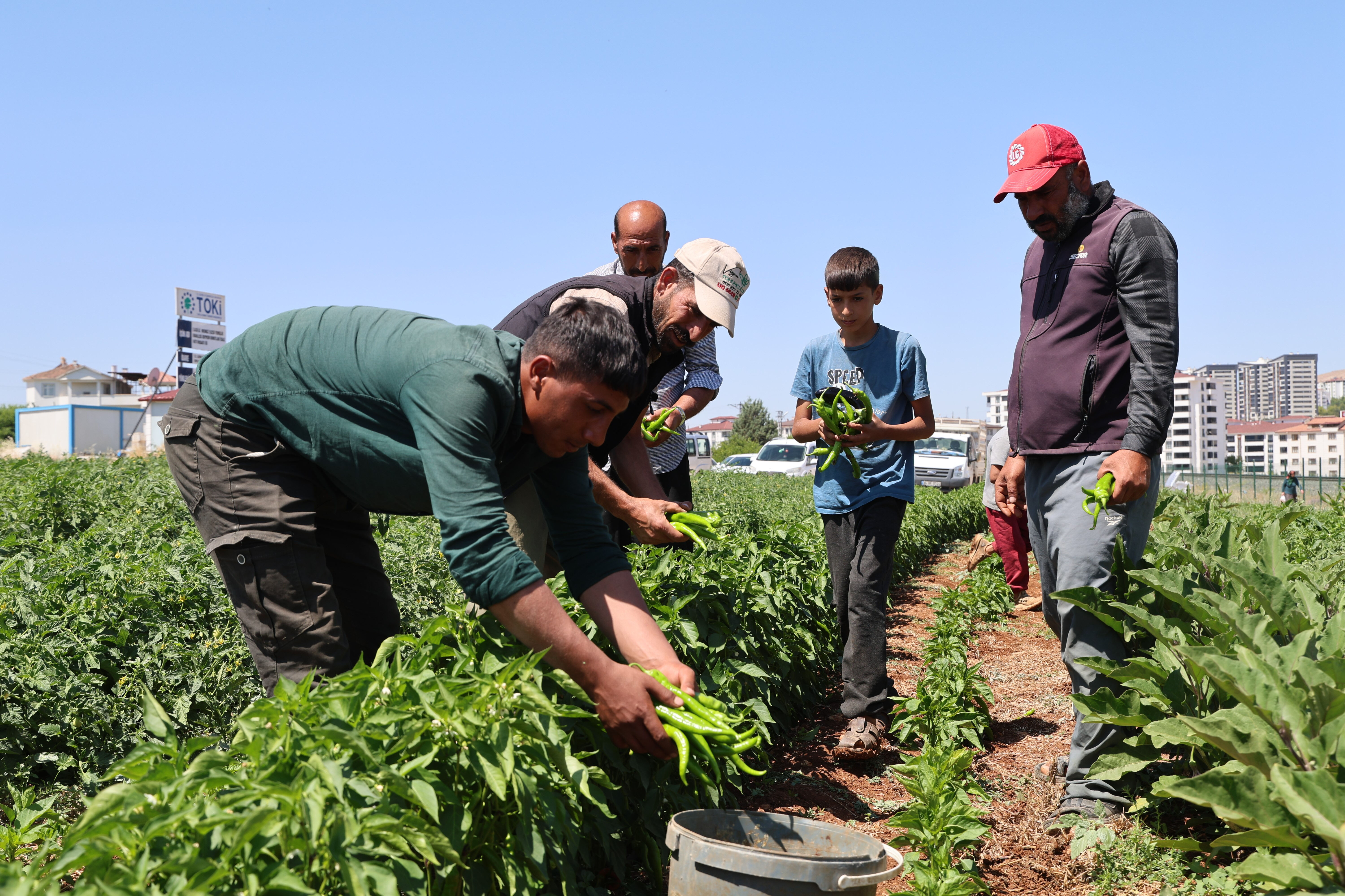 150 d&ouml;n&uuml;m alana ekildi! Bolluk kapıda, vatandaş ucuza yiyecek: Markette 50 liraysa 25'e satacağız&nbsp; - 5. Resim