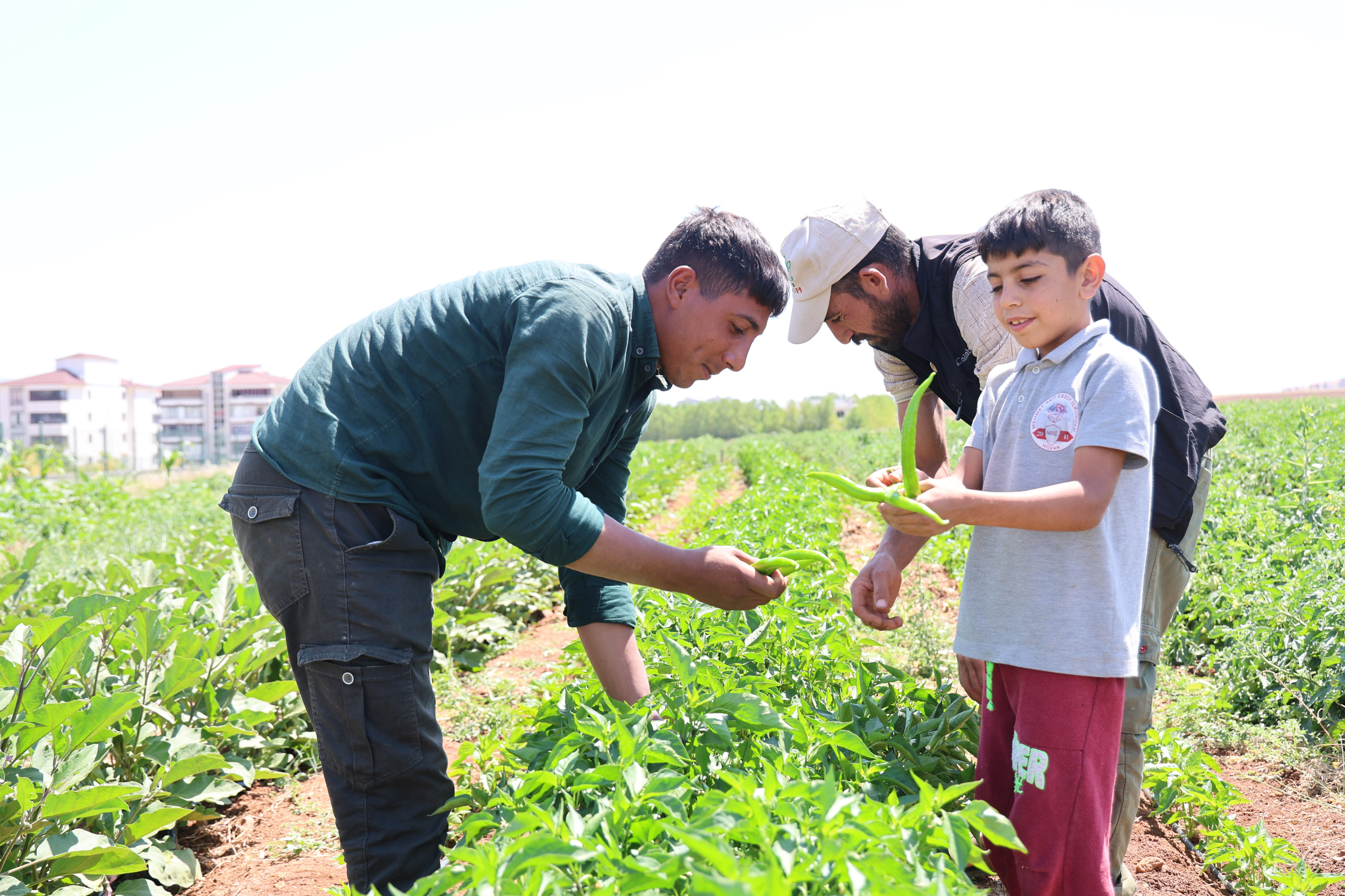 150 d&ouml;n&uuml;m alana ekildi! Bolluk kapıda, vatandaş ucuza yiyecek: Markette 50 liraysa 25'e satacağız&nbsp; - 3. Resim