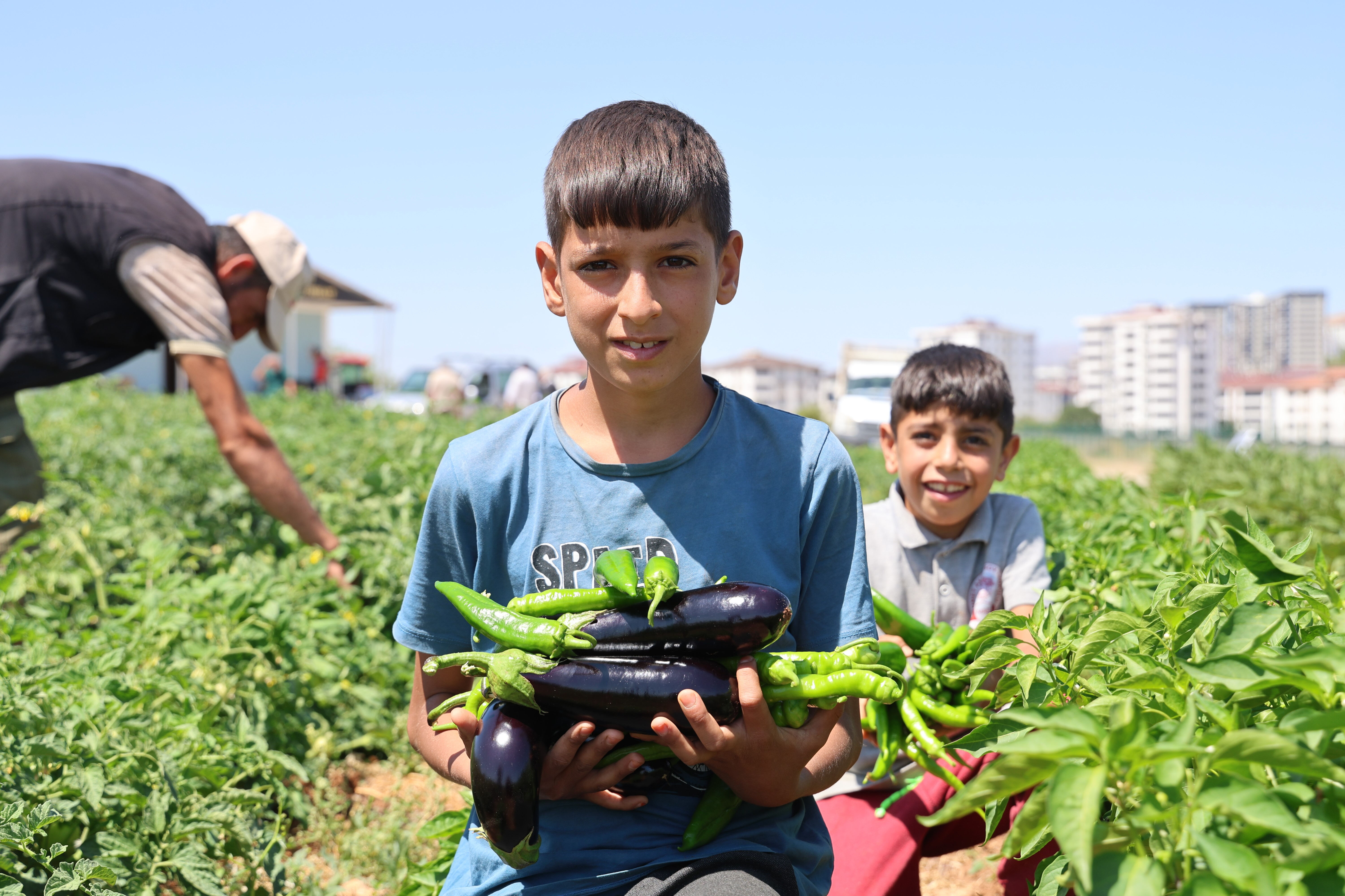 150 d&ouml;n&uuml;m alana ekildi! Bolluk kapıda, vatandaş ucuza yiyecek: Markette 50 liraysa 25'e satacağız&nbsp; - 4. Resim