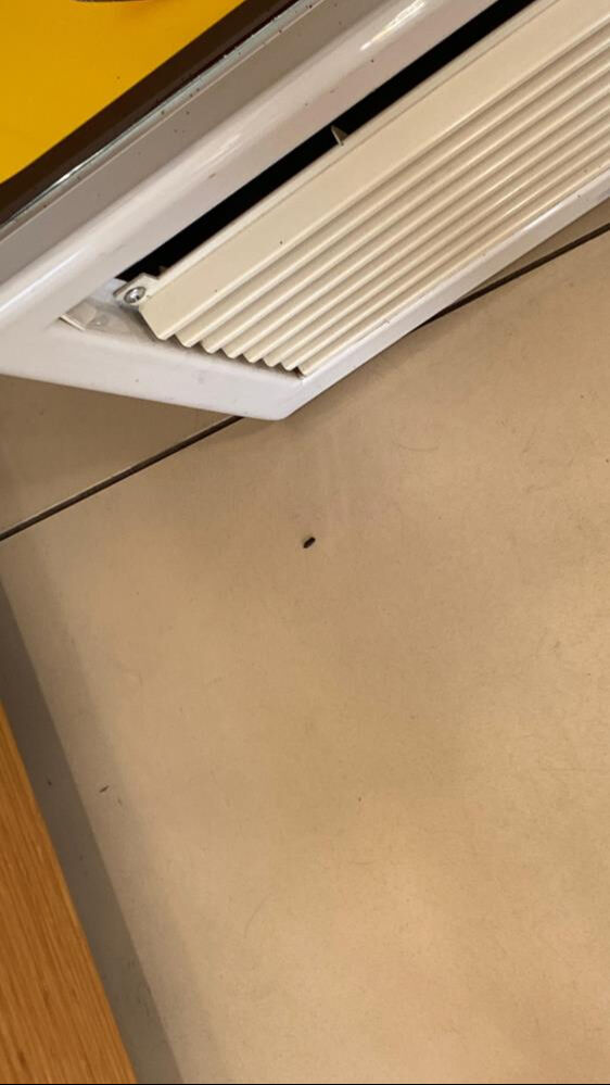 Baklavacıda mide bulandıran görüntü! İşletme sahibi suçu eski personele attı - 2. Resim