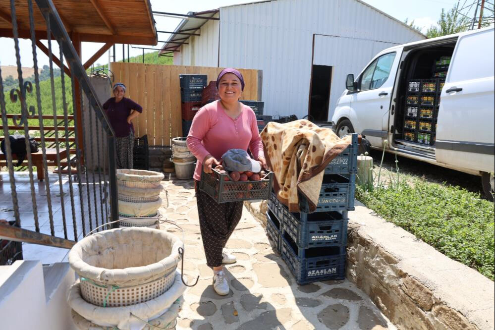 Don vurmuştu, hasat başladı! Tarlada kilosu 50 lira, talep çok ama ürün yok... - 6. Resim