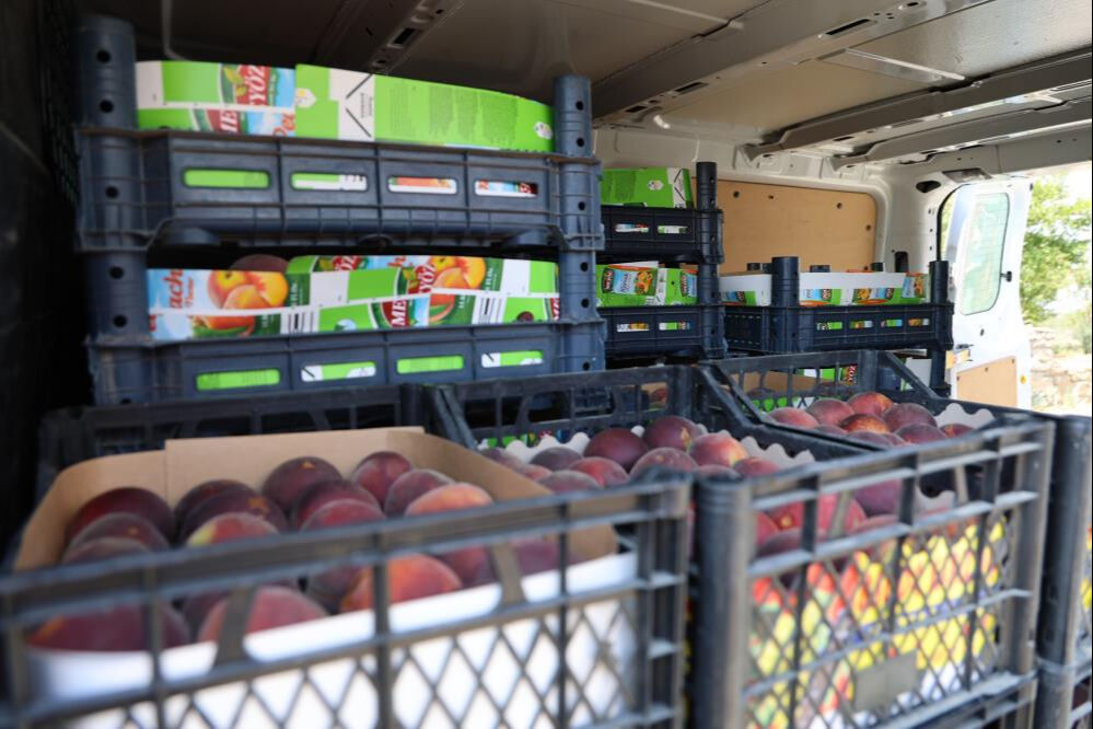 Don vurmuştu, hasat başladı! Tarlada kilosu 50 lira, talep çok ama ürün yok... - 5. Resim