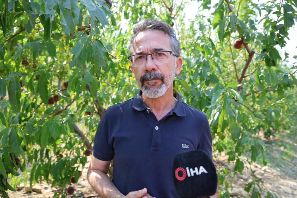 Don vurmuştu, hasat başladı! Tarlada kilosu 50 lira, talep çok ama ürün yok... - 3. Resim