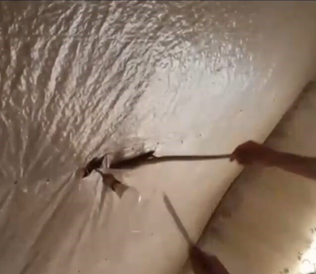 Evin damında dehşet anları! Gelen seslerden sonra brandayı kestiler, içinden çıkanlar korkuttu Evin damında dehşet anları! Gelen seslerden sonra brandayı kestiler, içinden çıkanlar korkuttu - 1. Resim