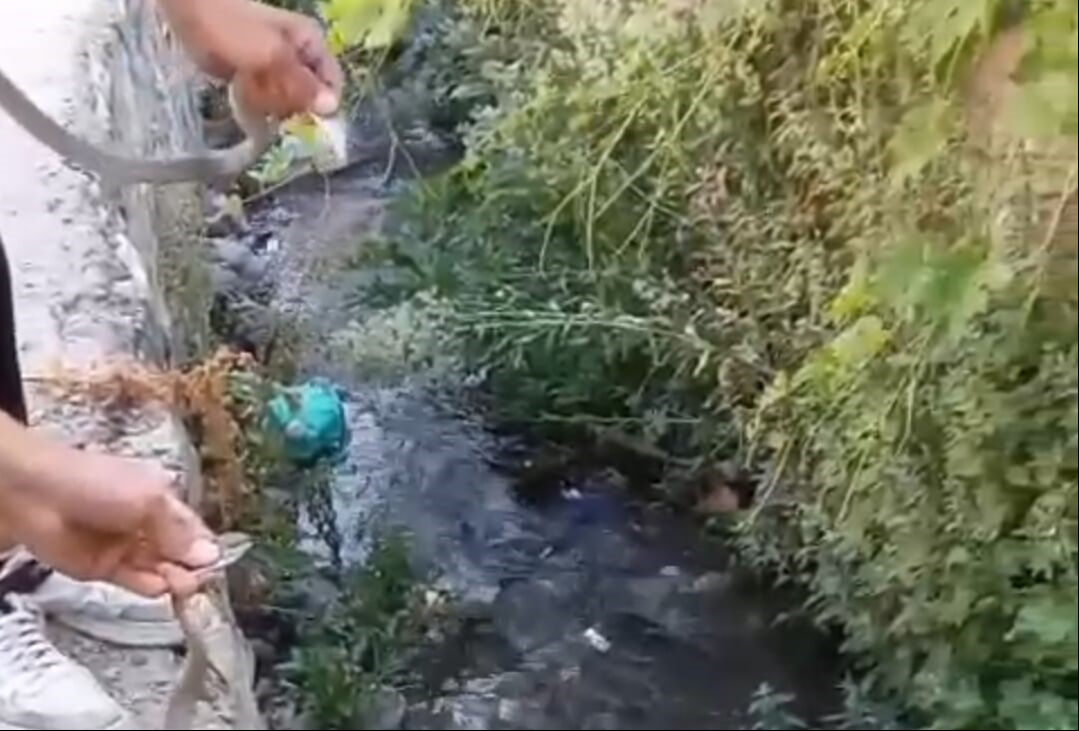 Evin damında dehşet anları! Gelen seslerden sonra brandayı kestiler, içinden çıkanlar korkuttu Evin damında dehşet anları! Gelen seslerden sonra brandayı kestiler, içinden çıkanlar korkuttu - 2. Resim