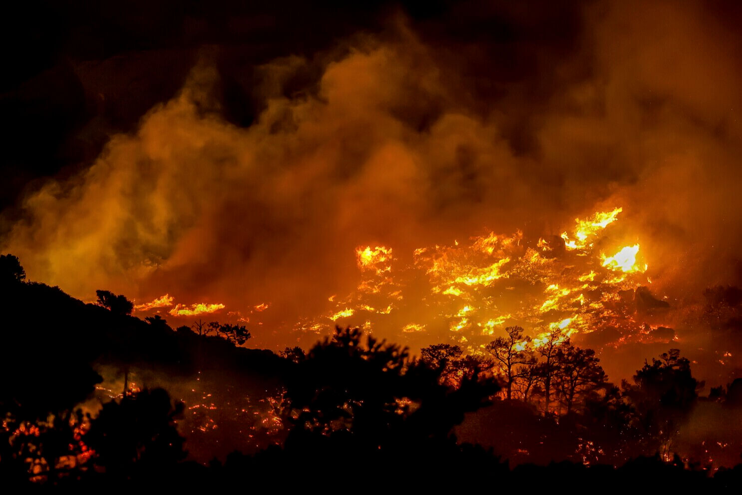 Fransa’da yangın kontrolden çıktı! Havalimanı kapatıldı, evler boşaltıldı - 1. Resim